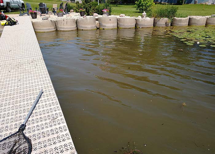 shore weed removal