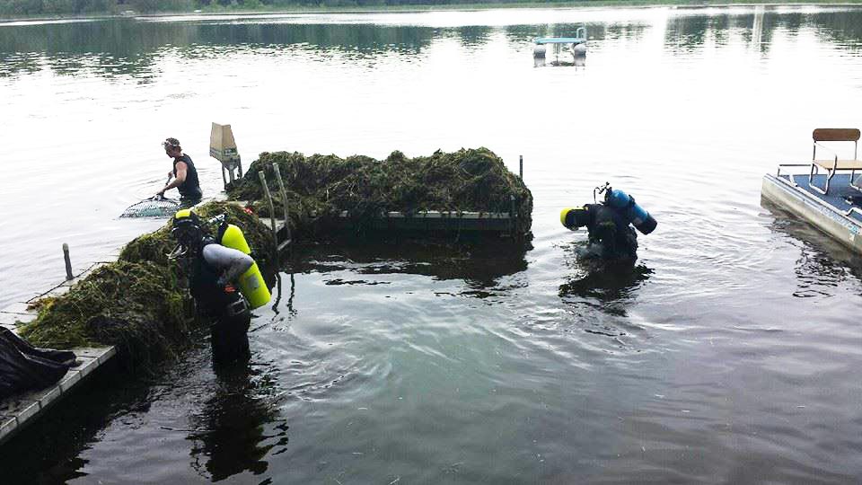 aquatic invasive species and lake debris removal