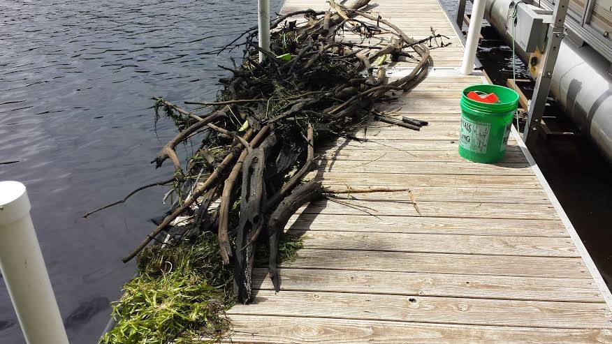 lake debris removal and cleanup